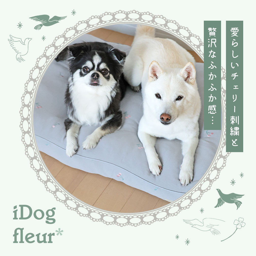 犬 猫 ベッド IDOG&ICAT iDog fleur チェリーのクッションベッド アイドッグ ベッド クッション マット ソファ カドラー