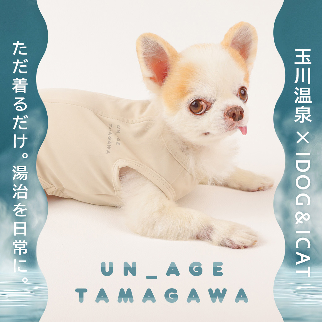 シニア 犬 服 iDog UN_AGE TAMAGAWA 背中開きタンク アイドッグ UN_AGE アンエイジ  介護服 体幹安定 犬の服 犬服