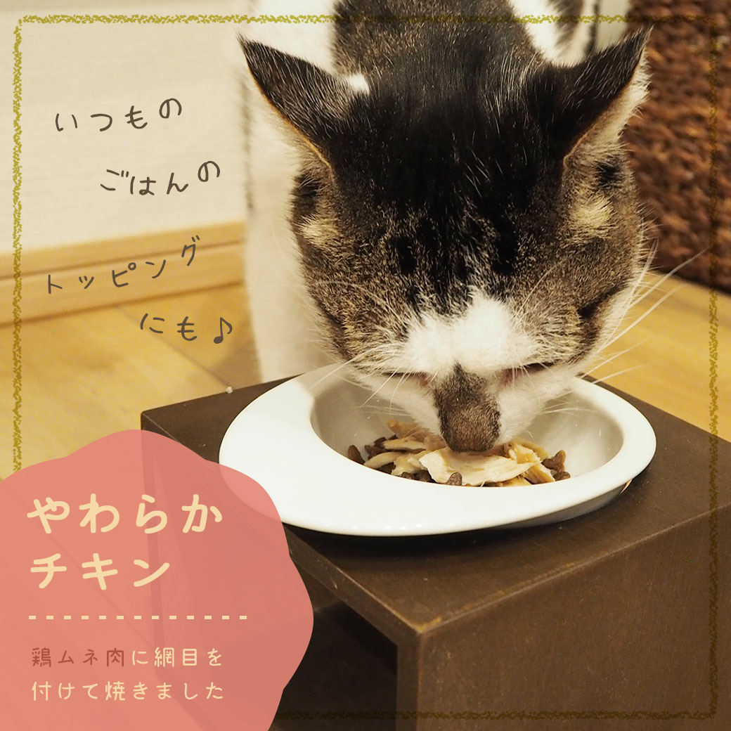 猫 おやつ 三矢コーポレーション/やわらかチキン 40g 猫のおやつ 猫用おやつ