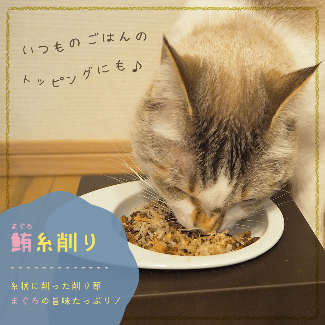 猫 おやつ 三矢コーポレーション/鮪糸削り 25g 猫のおやつ 猫用おやつ