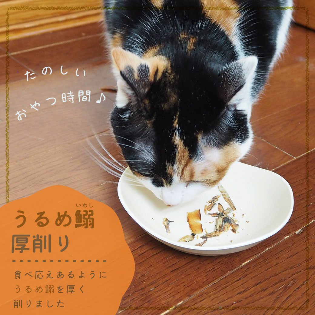 猫 おやつ 三矢コーポレーション/うるめ鰯厚削り 20g 猫のおやつ 猫用おやつ