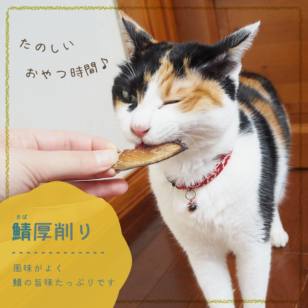 猫 おやつ 三矢コーポレーション/鯖節厚削り 20g 猫のおやつ 猫用おやつ