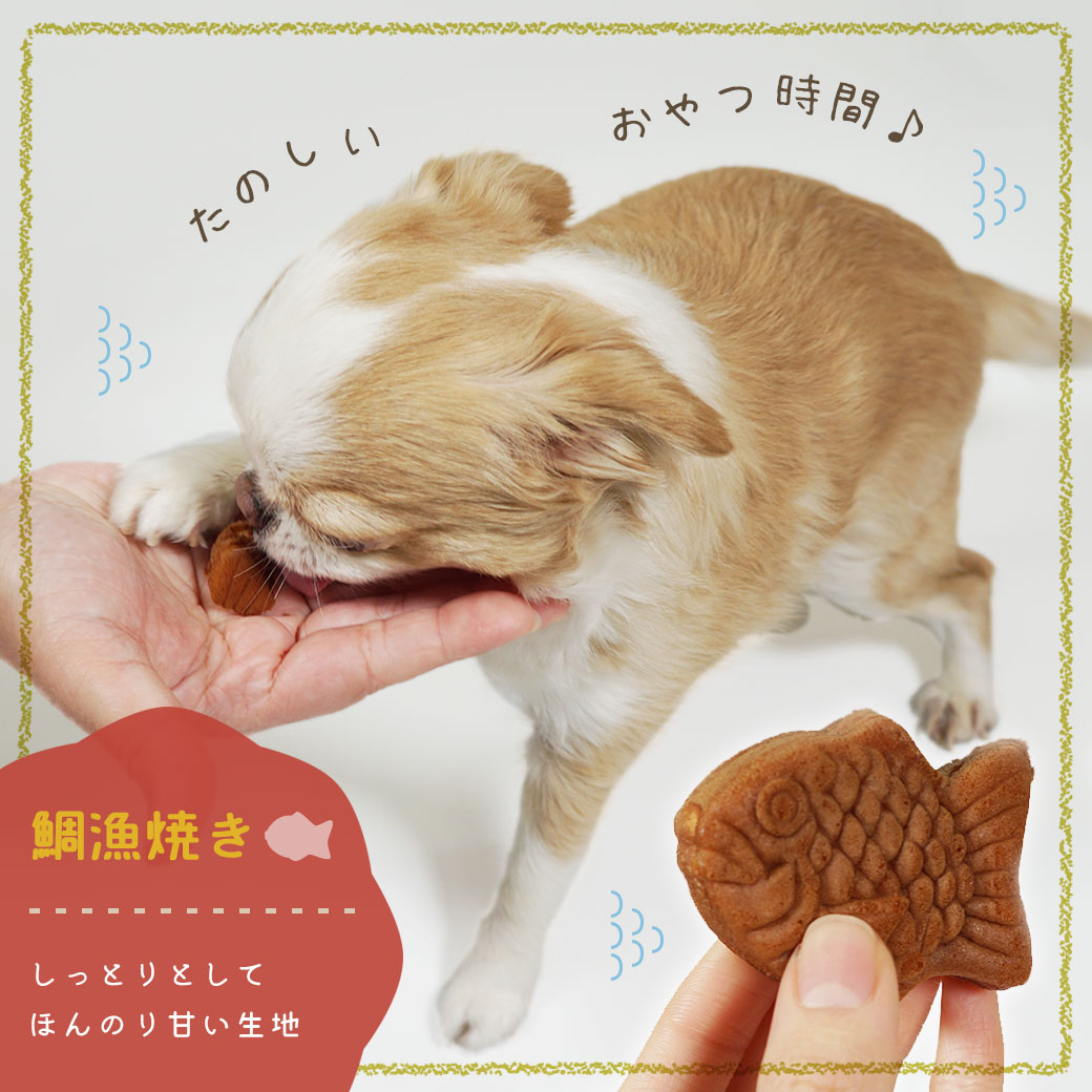 犬 おやつ 鯛漁焼き