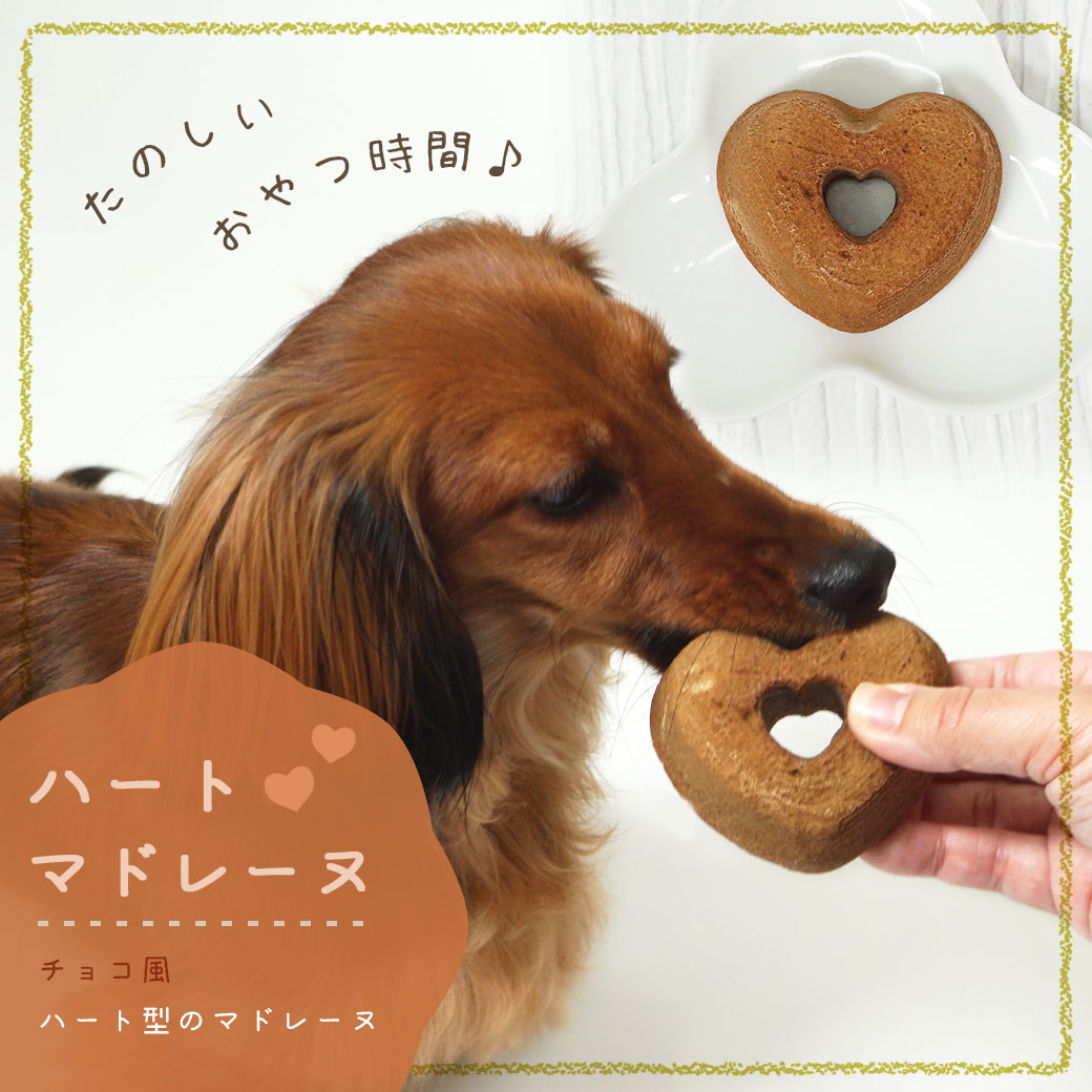 【 犬 おやつ 】ハートマドレーヌ【 犬のおやつ 犬用おやつ ドッグフード idog 楽天 】