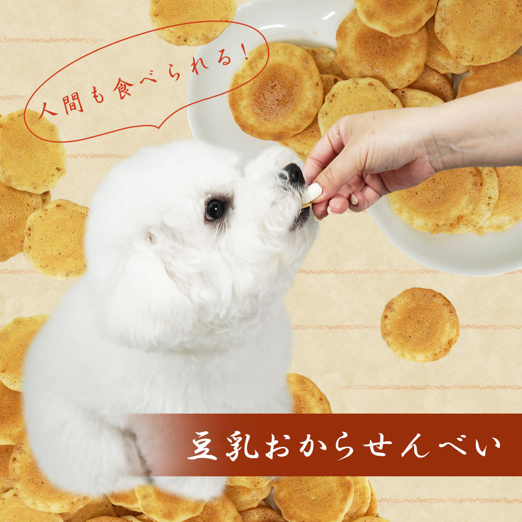 犬 おやつ 豆乳おからせんべい