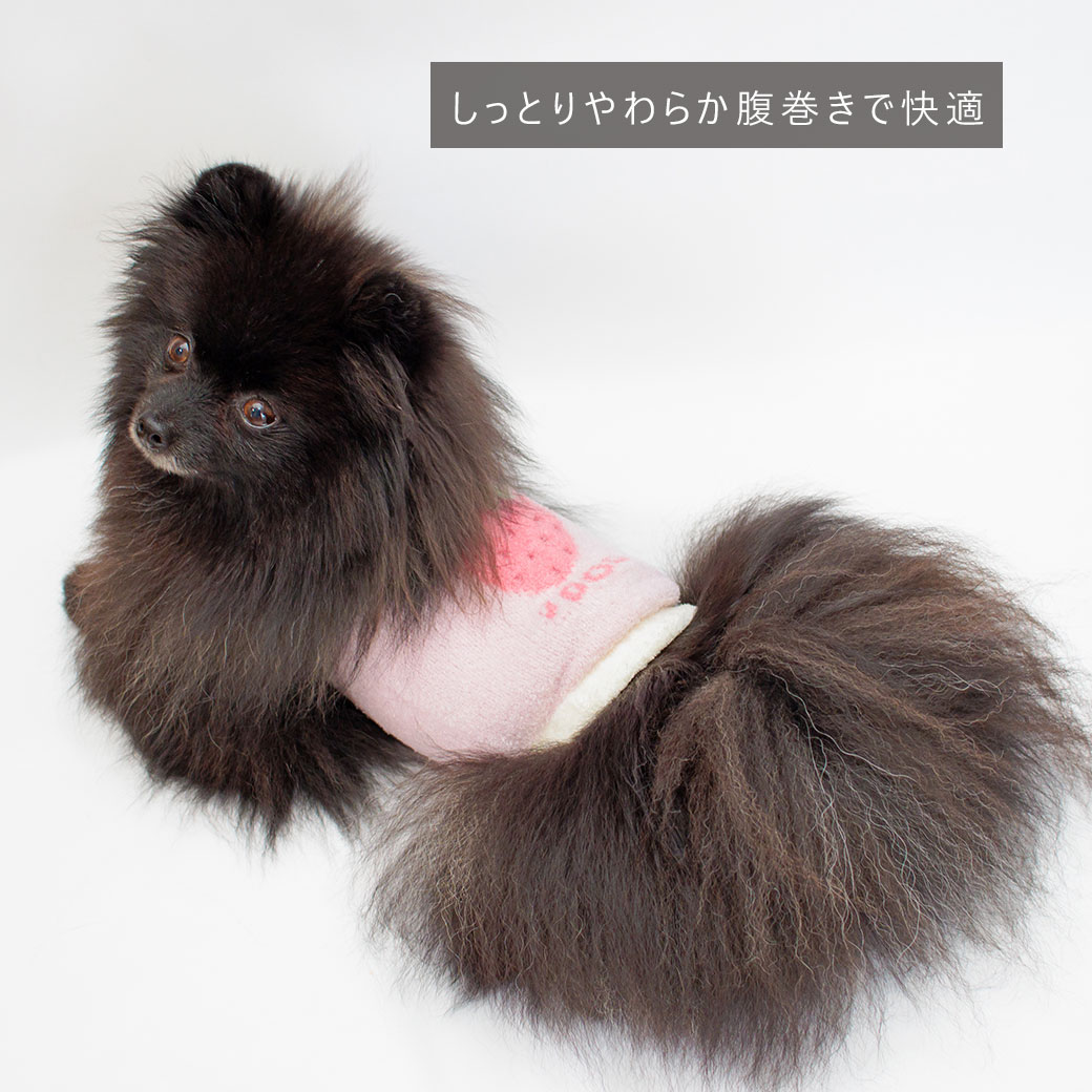 犬 服 iDog ふわもこ腹巻き アイドッグ 犬の服 犬服