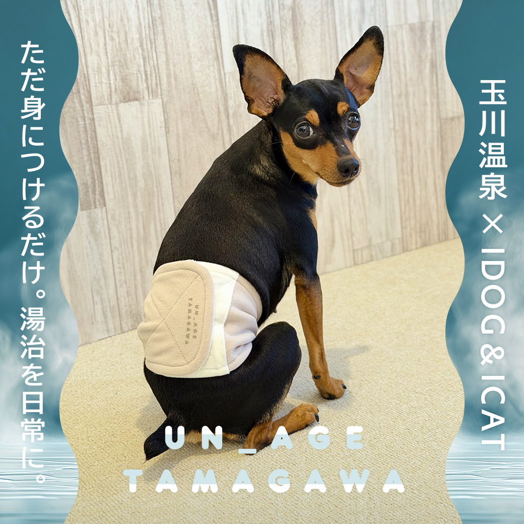 シニア 犬 服 iDog UN_AGE TAMAGAWA あったかペット腹巻き アイドッグ UN_AGE アンエイジ  介護服 体幹安定 犬の服 犬服