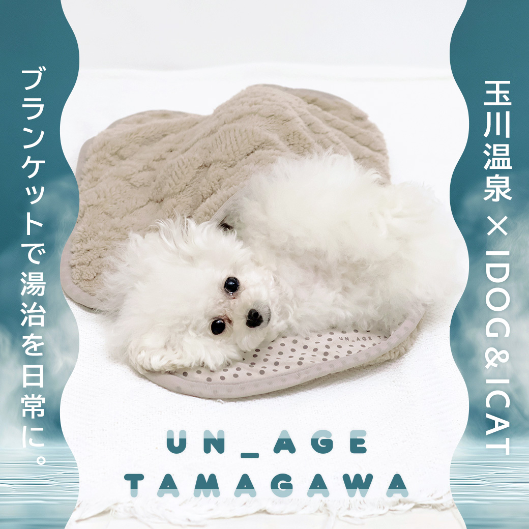 犬 猫 ペット ベッド IDOG&ICAT UNAGE_TAMAGAWA ふんわりブランケット アイドッグ 介護用