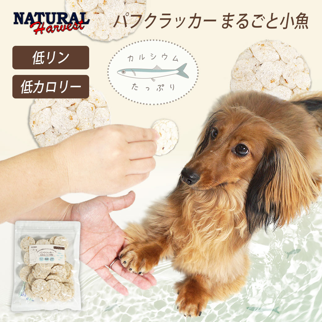 犬 おやつ NATURAL Harvest ナチュラルハーベスト/パフクラッカー50g まるごと小魚 低リン アイドッグ グレインフリー 低脂肪 低カロリー パフ クラッカー チップス クッキー