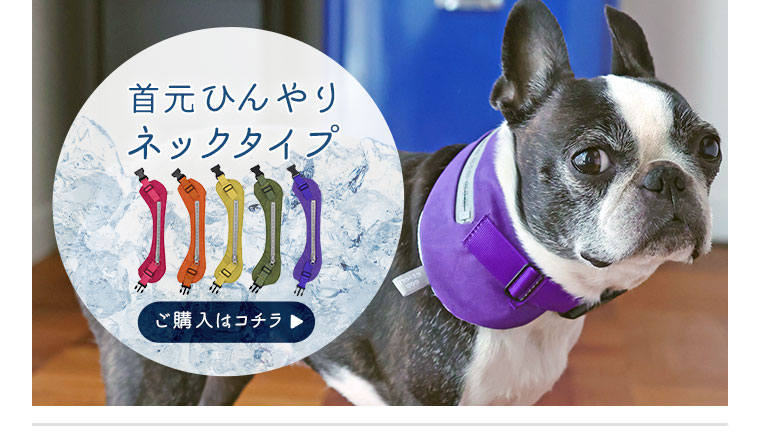 熱中症対策グッズ アイドッグ 犬 猫ペット用品通販 Idog Icat ペット 犬 服