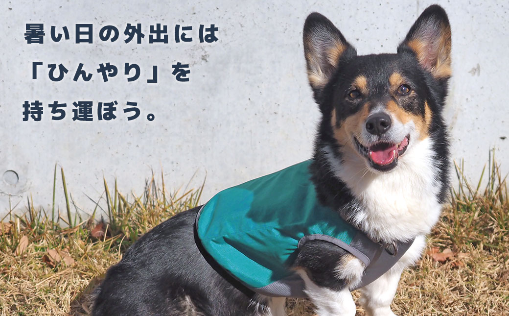 熱中症対策グッズ アイドッグ - 犬 猫ペット用品通販 IDOG&ICAT