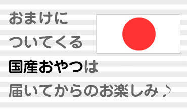 国産おやつ一覧へ