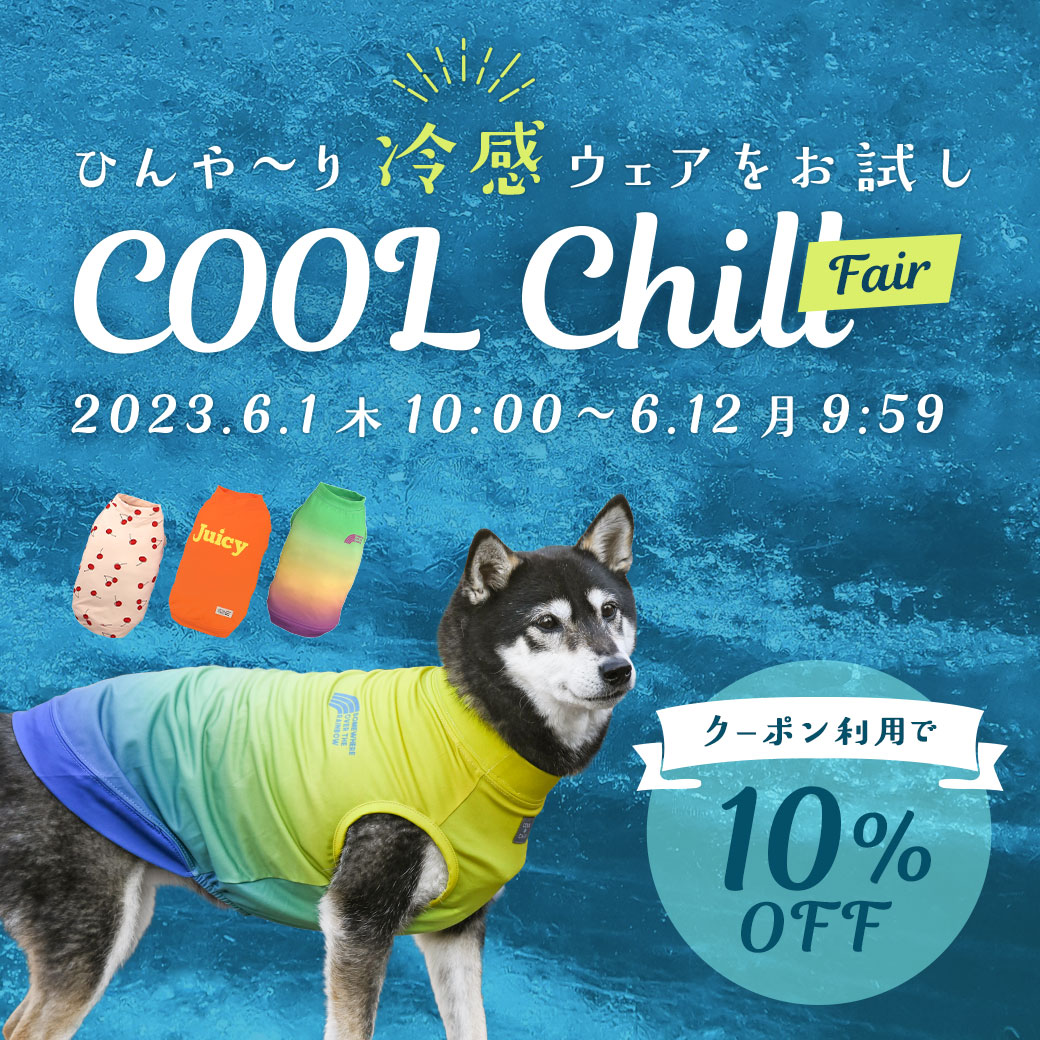COOL Chill FAIR