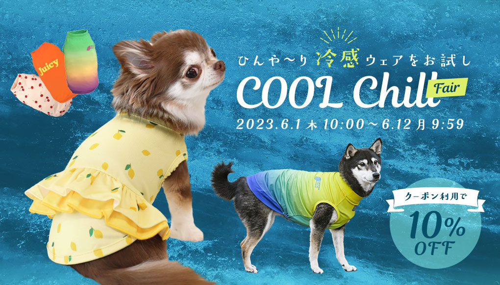 COOL Chill FAIR