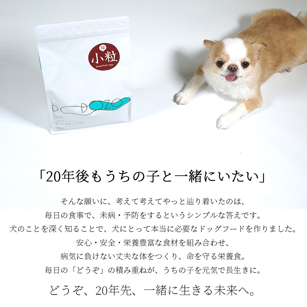 ドッグフード プレミアム 】DOZO 超小粒 1.2kg アイドッグ【 国産 犬