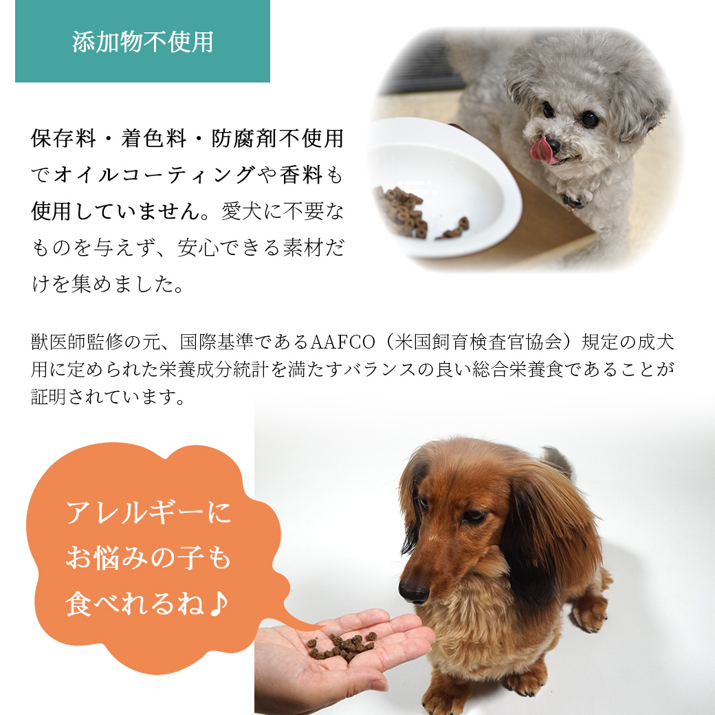 ドッグフード プレミアム 】DOZO 超小粒 1.2kg アイドッグ【 国産 犬