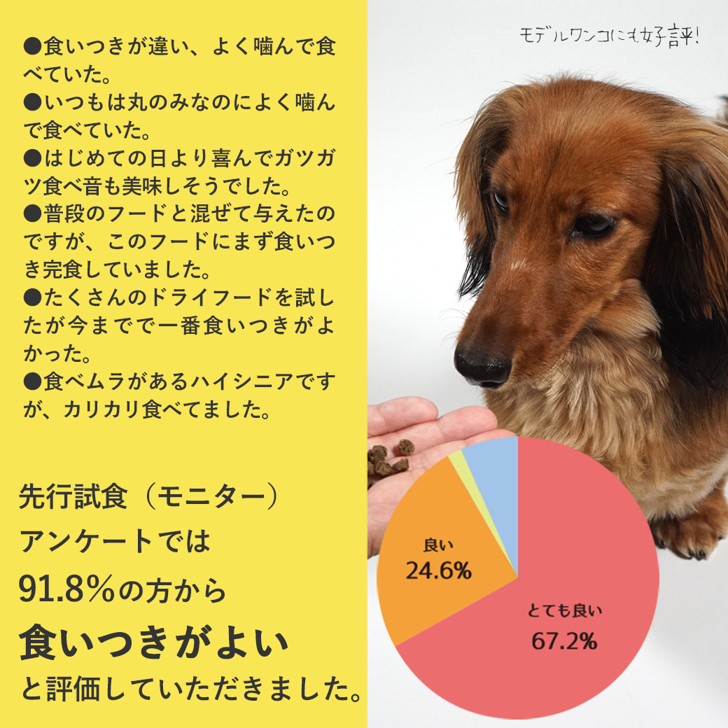 ドッグフード プレミアム 】DOZO 超小粒 1.2kg アイドッグ【 国産 犬