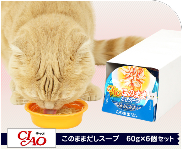 猫 キャットフード CIAO チャオ このままだしスープ60g×6個セット ウェットフード 猫用フード 餌 ご飯