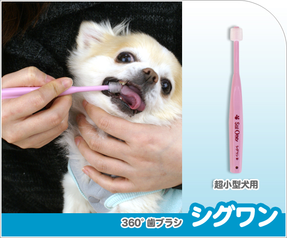 犬 デンタルケア シグワン 360度歯ブラシ 超小型犬用 ピンク 歯ブラシ 歯磨き はみがき ハミガキ