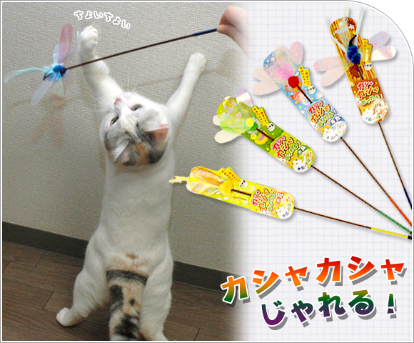 Idog Icat本店 ペッツルート カシャカシャじゃれる 犬猫ペット用品通販のidog Ic