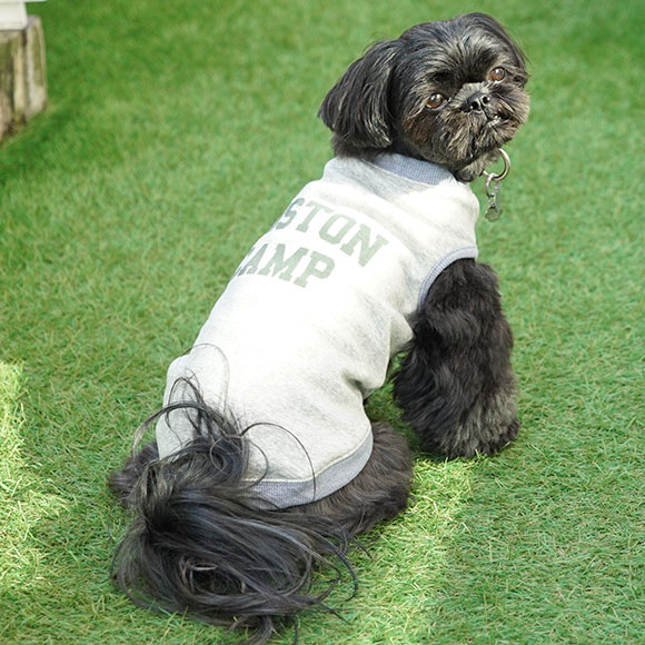 Idog Icat本店 Idog 裏起毛ロゴプリントタンク アイドッグ 犬猫ペット用品通販のidog Icat 犬服虫よけ 防蚊ウェア