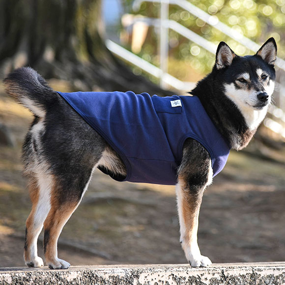 Idog Icat本店 Idog Moscape ポケットタンク 防蚊 虫よけ アイドッグ 犬猫ペット用品通販のidog Icat 犬服虫よけ 防蚊 ウェア Idog Icat本店 Idog Moscape ポケットタンク 防蚊 虫よけ アイドッグ 犬猫ペット用品通販のidog Icat 犬服虫よけ 防蚊 ウェア
