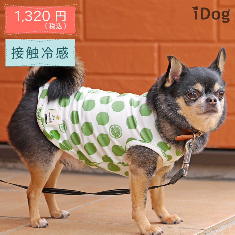 iDog COOL Chill レモンタンク 接触冷感 アイドッグ-犬猫ペット用品通販 IDOGICAT|ペット 犬 服