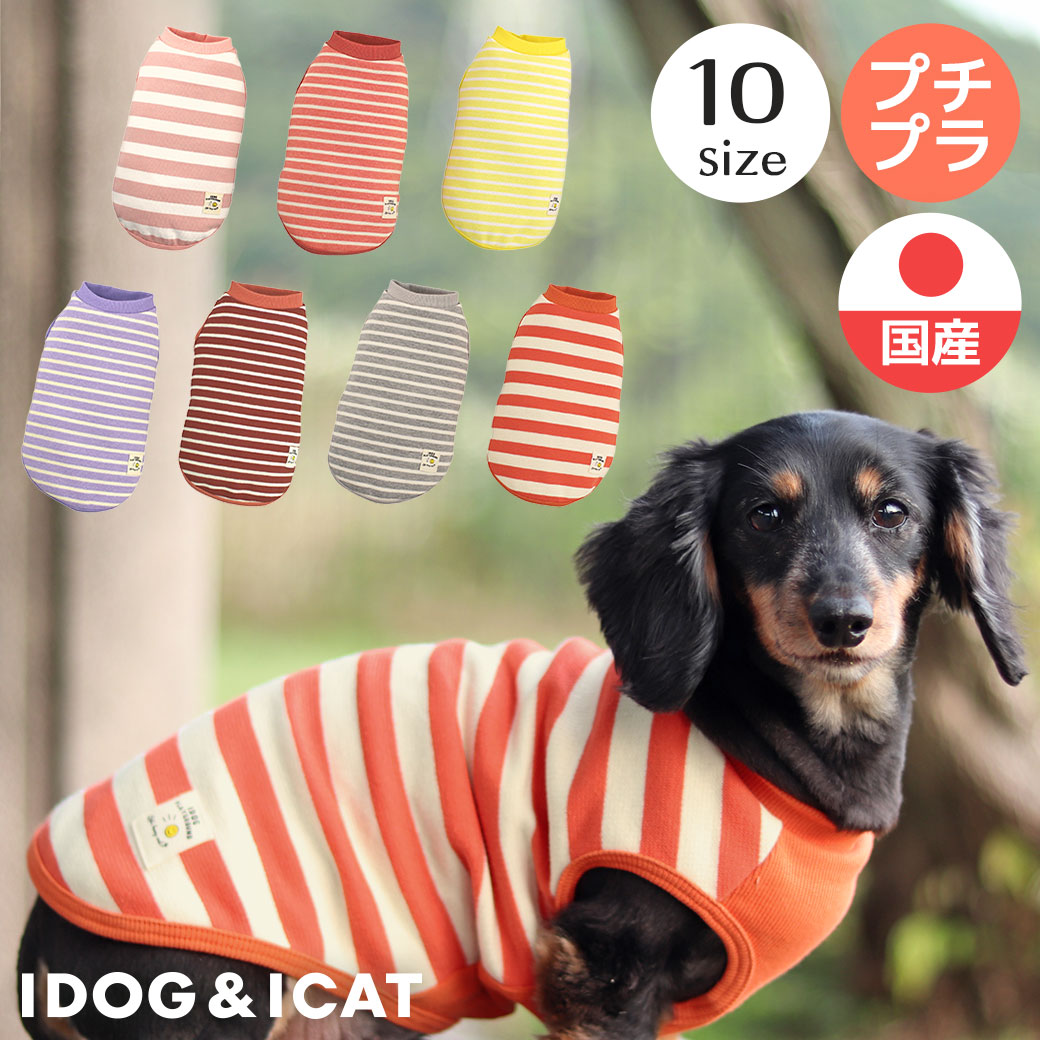 【楽天市場】【 犬 服 春夏 】iDog リブ切替ボーダータンク アイドッグ メール便OK【 あす楽 翌日配送 】【 犬 服 ドッグウエア いぬ 犬の服 小型犬 パピー 犬服 おしゃれ かわいい 犬 服 セール トイプードル チワワ ダックス あいどっぐ idog 】：犬の服のiDog