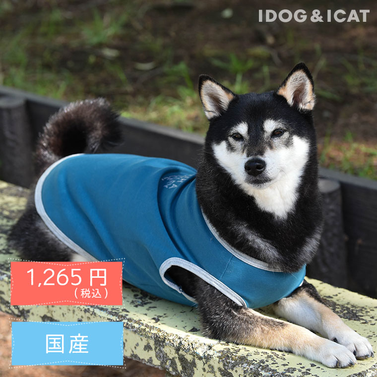 アイドック　日本製　ドックウェア　犬　ワンコ　服　秋冬