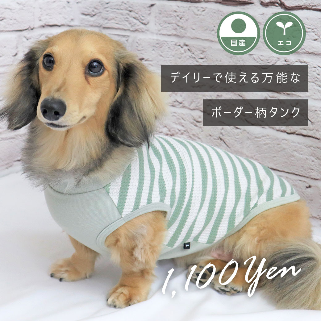 犬 服 iDog リブ切替ボーダータンク アイドッグ アイドッグ 犬の服 犬服