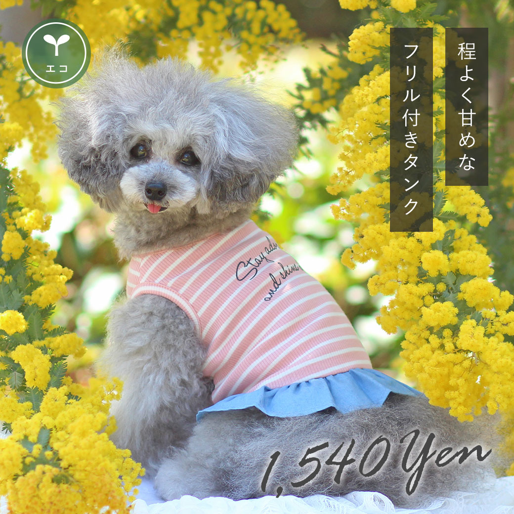 犬 服 iDog ピンボーダー切替フリルタンク アイドッグ 犬の服 犬服