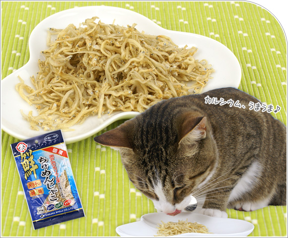 猫 おやつ ちりめんじゃこ 30g 猫のおやつ 猫用おやつ