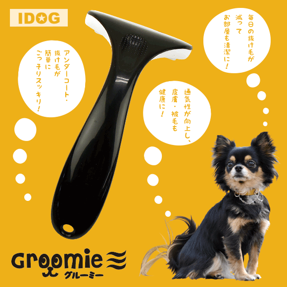 犬用抜け毛対策グッズ すべて 犬用抜け毛対策グッズの通販ならidog Icat 1ページ目 犬用抜け毛対策グッズ すべて 犬用抜け毛対策グッズの通販ならidog Icat 1ページ目