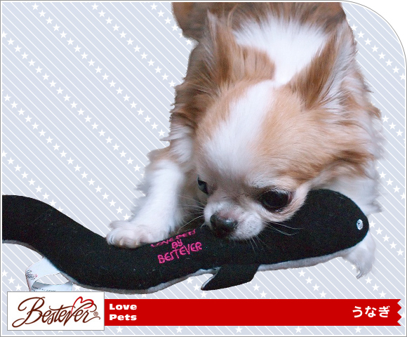 Idog Icat本店 ベストエバー Love Pets By Bestever ウナギ 犬猫 Idog Icat本店 ベストエバー Love Pets By Bestever ウナギ 犬猫