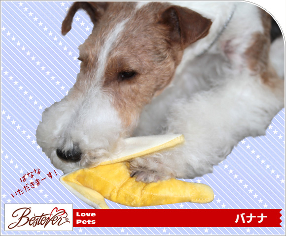 Idog Icat本店 ベストエバー Love Pets By Bestever バナナ 犬猫ペット用品通販のidog Icat ペット 犬 おもちゃ Idog Icat本店 ベストエバー Love Pets By Bestever バナナ 犬猫ペット用品通販のidog Icat ペット 犬 おもちゃ