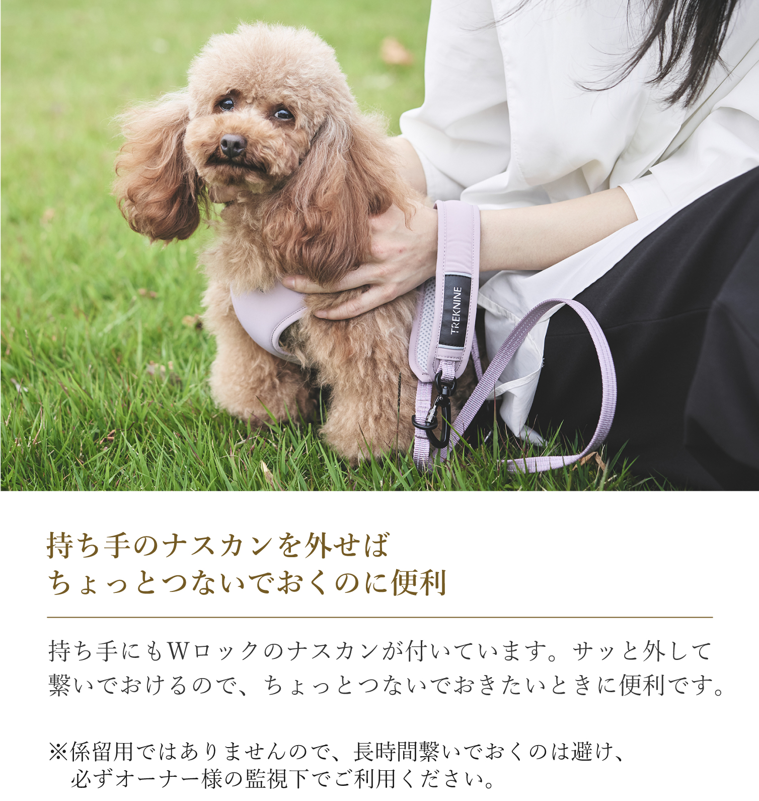 iDog TREKNINE|ハーネス|イージーコンフォート 10mm幅反射リード付
