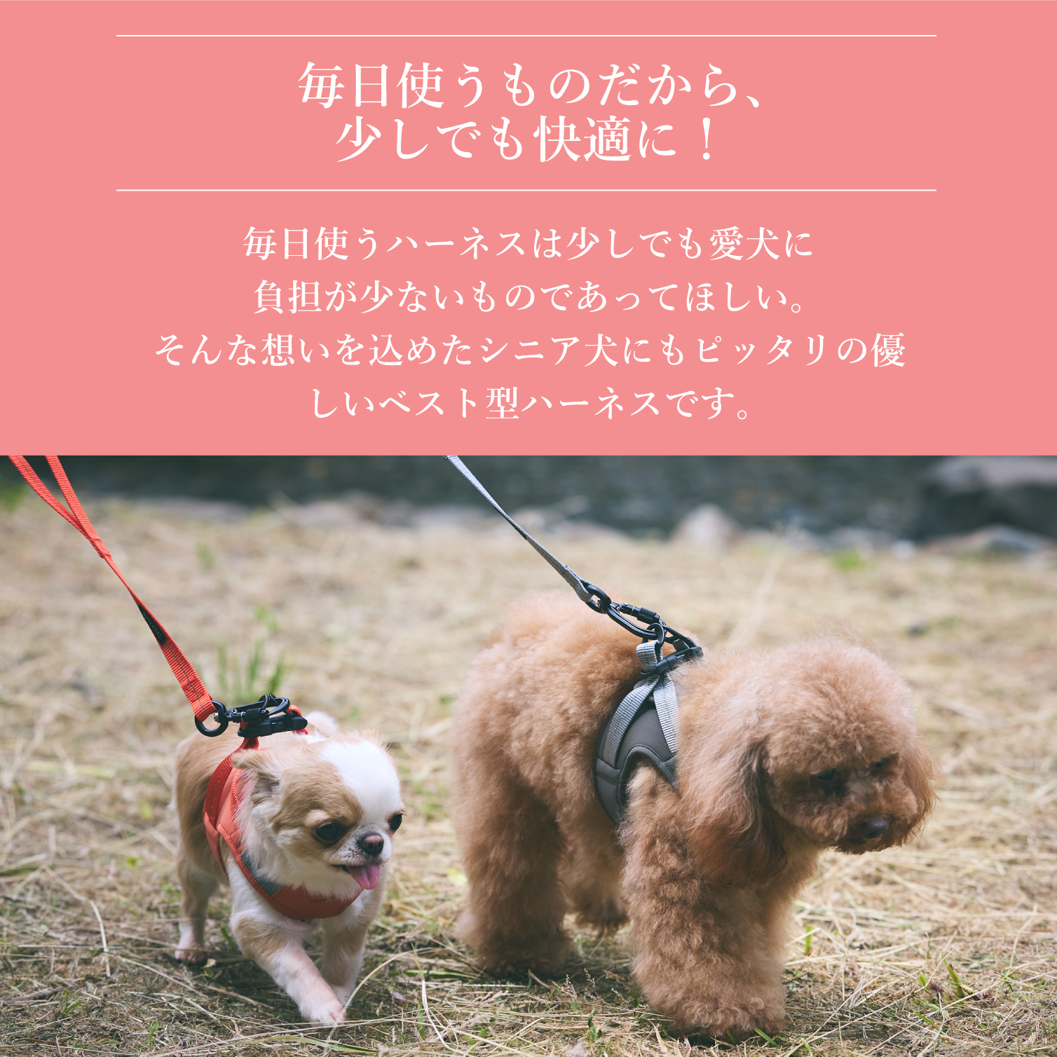 iDog TREKNINE ハーネス コンフォートAIR ベストM/Lサイズ